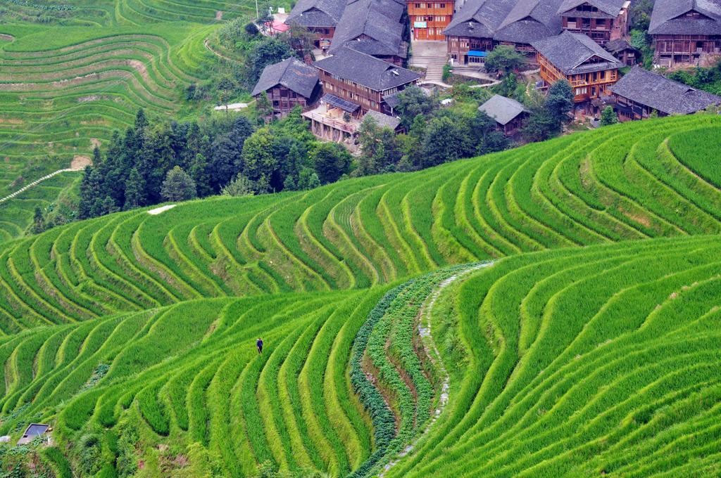 Longji Rice Terraces Tian Ranju Inn Longsheng Buitenkant foto